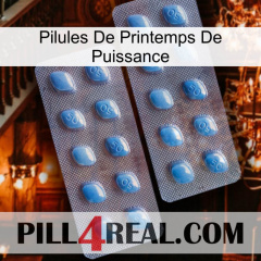 Power Spring Pills viagra4